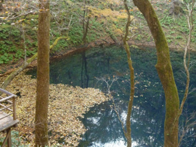 青池（秋）