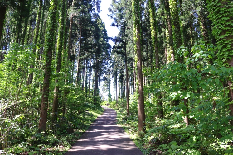 遊歩道