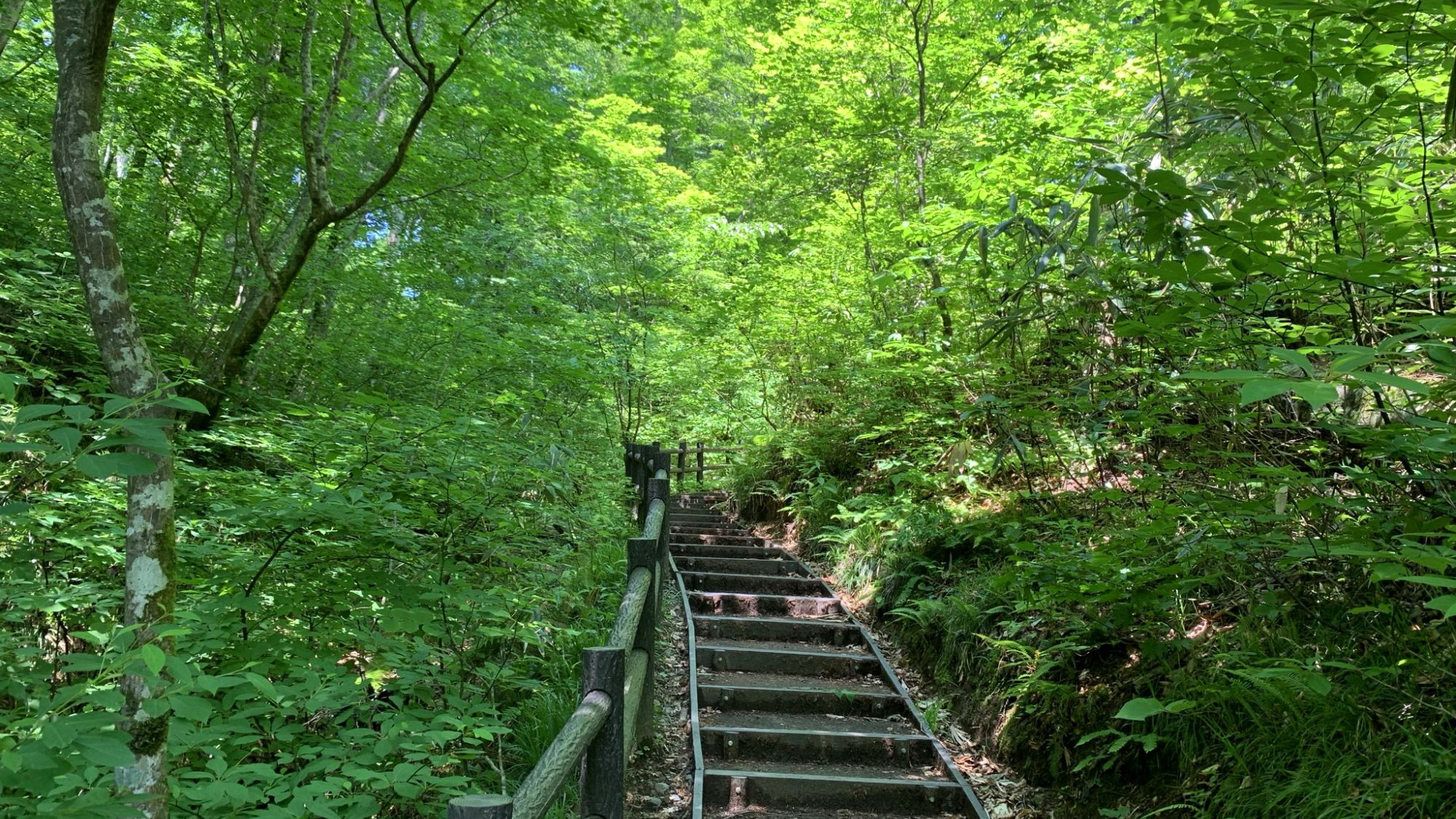 青池遊歩道