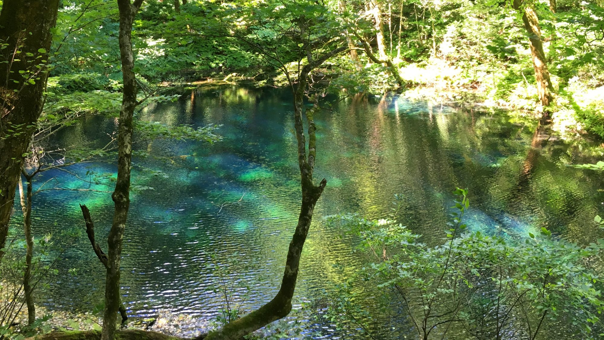 沸壺の池