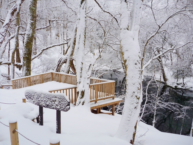 【冬の体験ツアー】 スノーハイク 沸壺の池