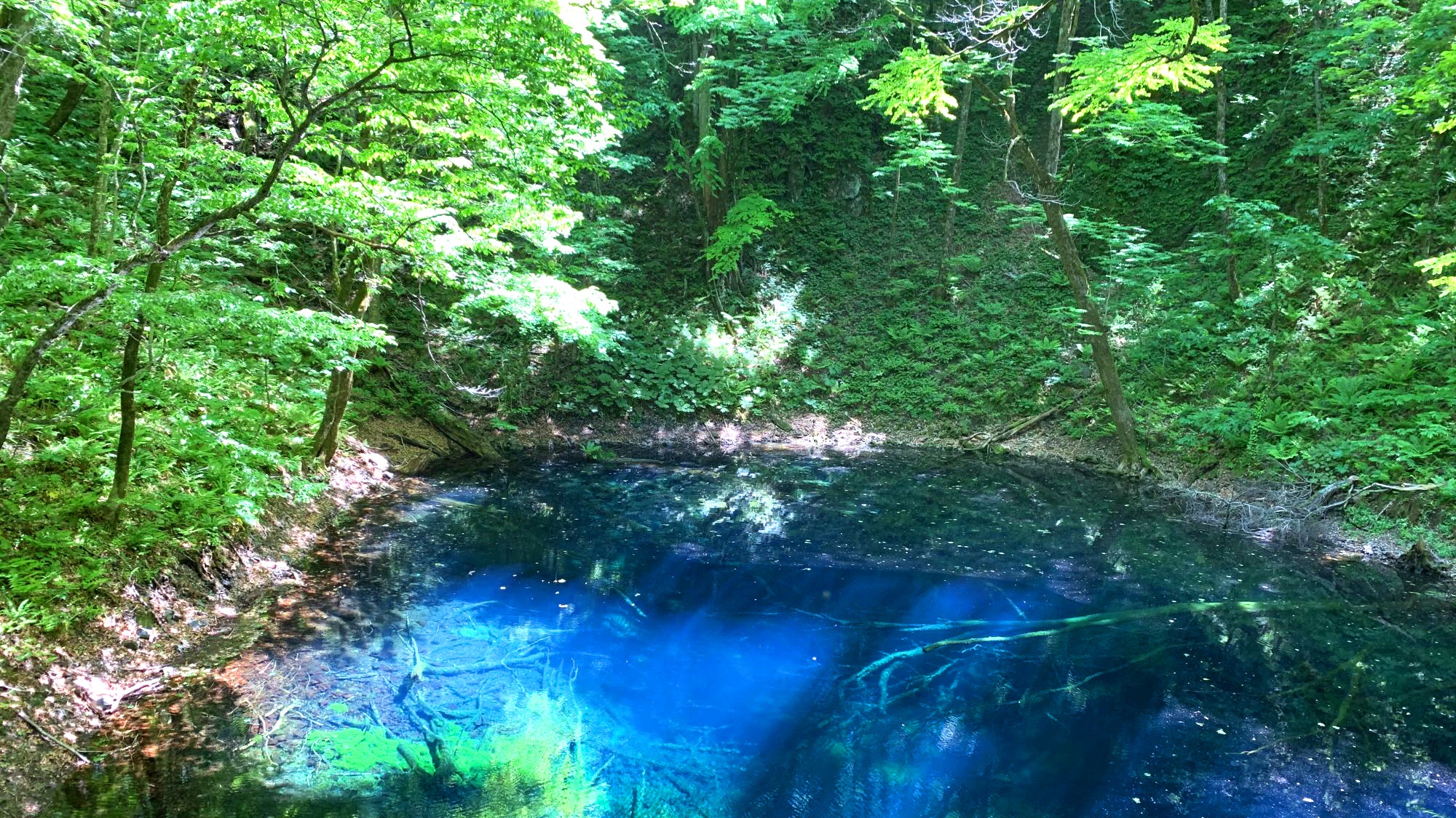 青池