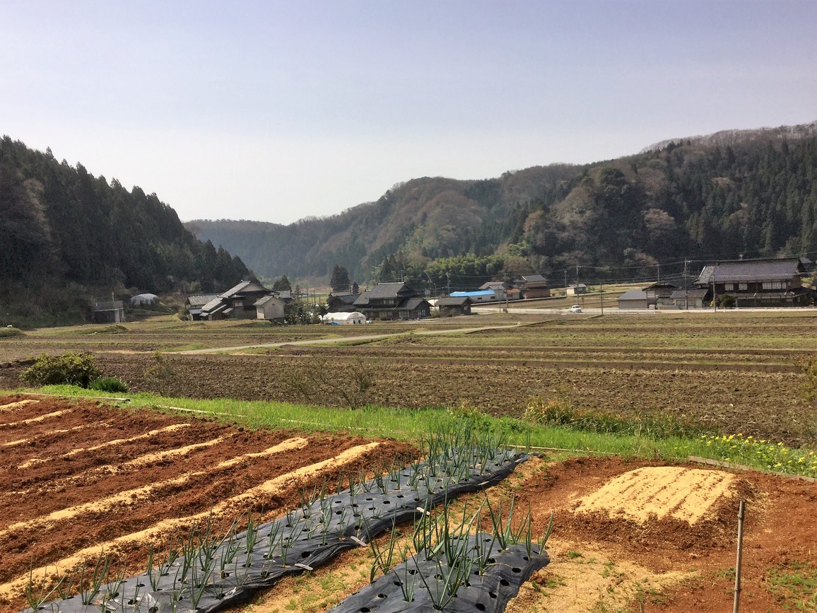 ◆＊ 昔懐かしい学校の宿 ≪別館≫交流宿泊所コブシ ＊◆　【素泊り （★布団あり）】