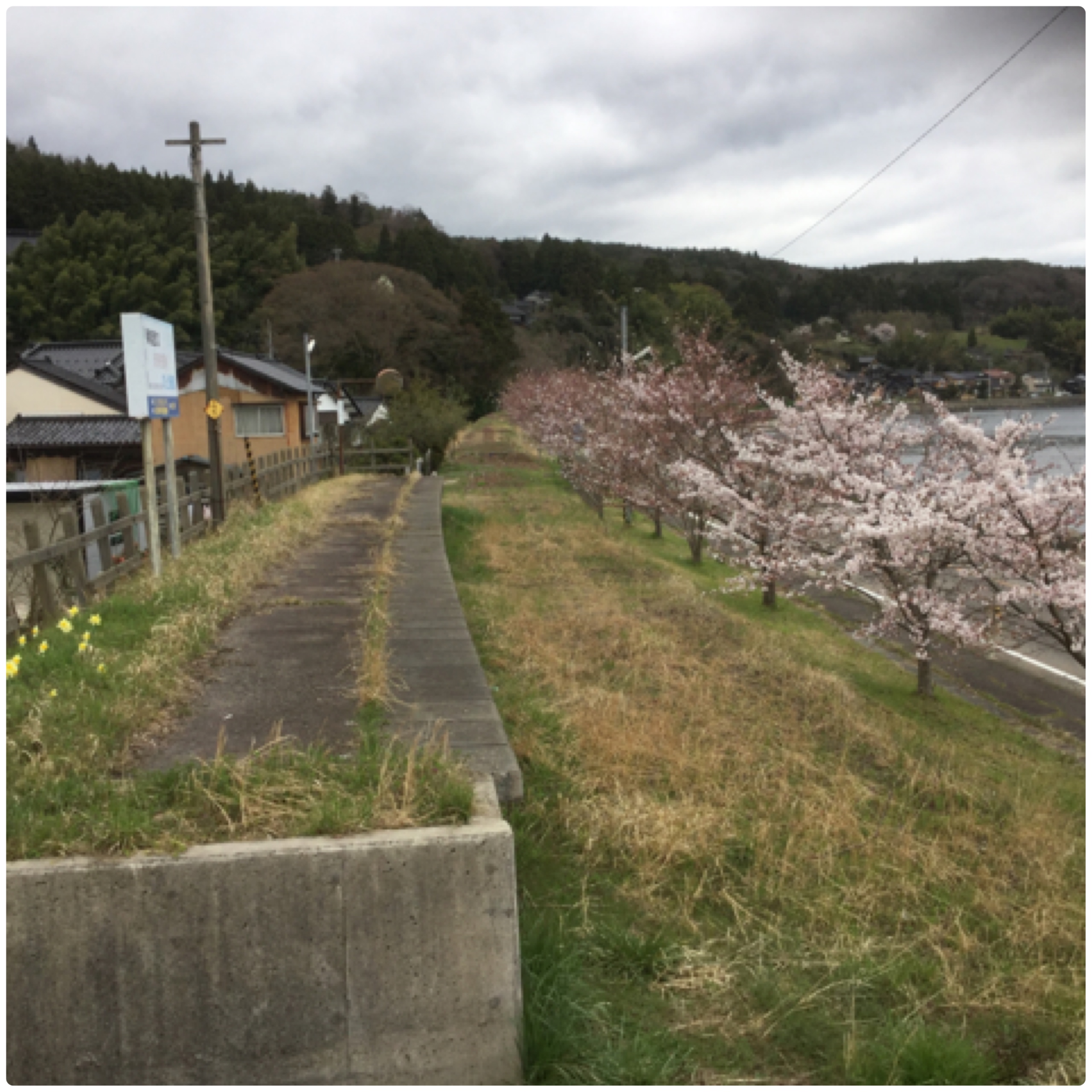 のと鉄道廃線の跡（旧波並駅付近）