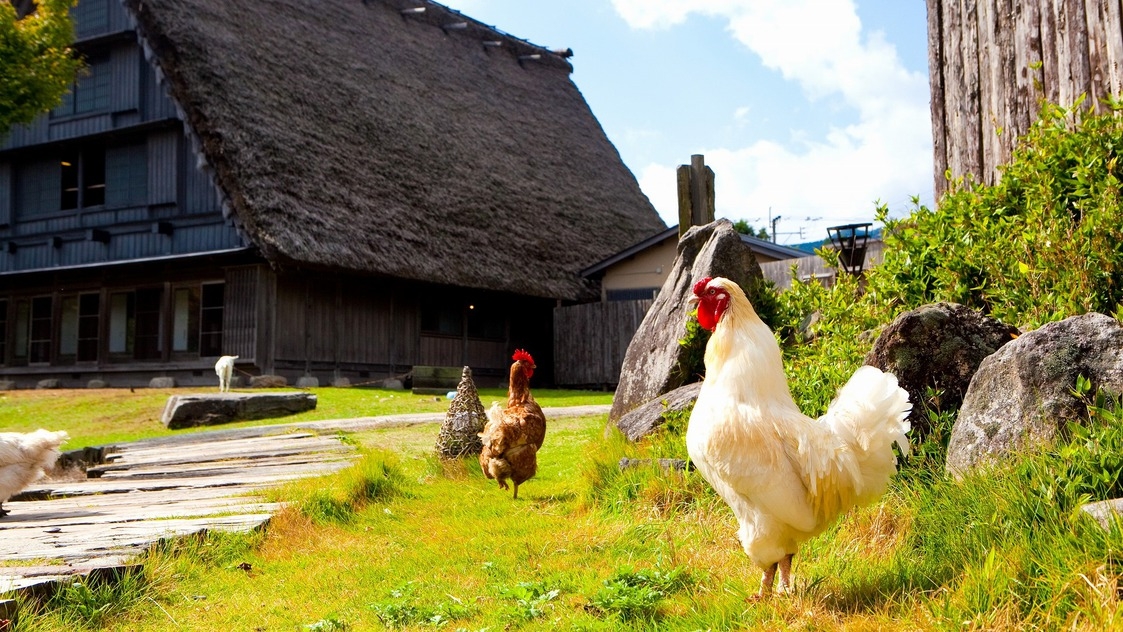 【ヘルシーにお肉を堪能】牛のしゃぶしゃぶ会席プラン