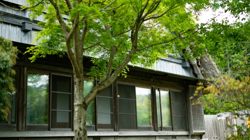 初夏の四季庵