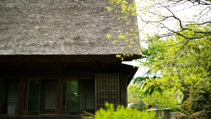 初夏の四季庵