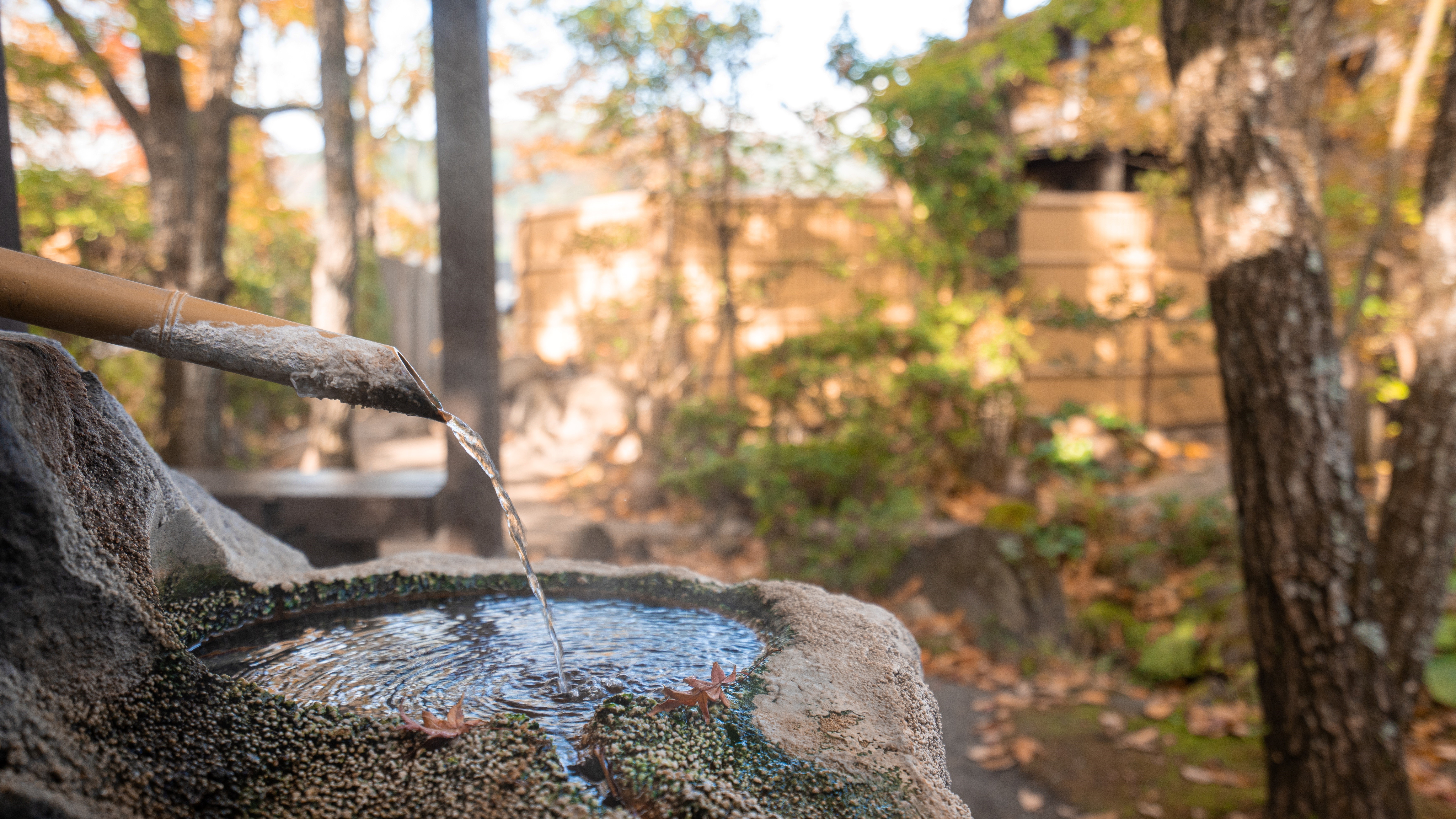 秋、心も体も満たされる癒しのひととき