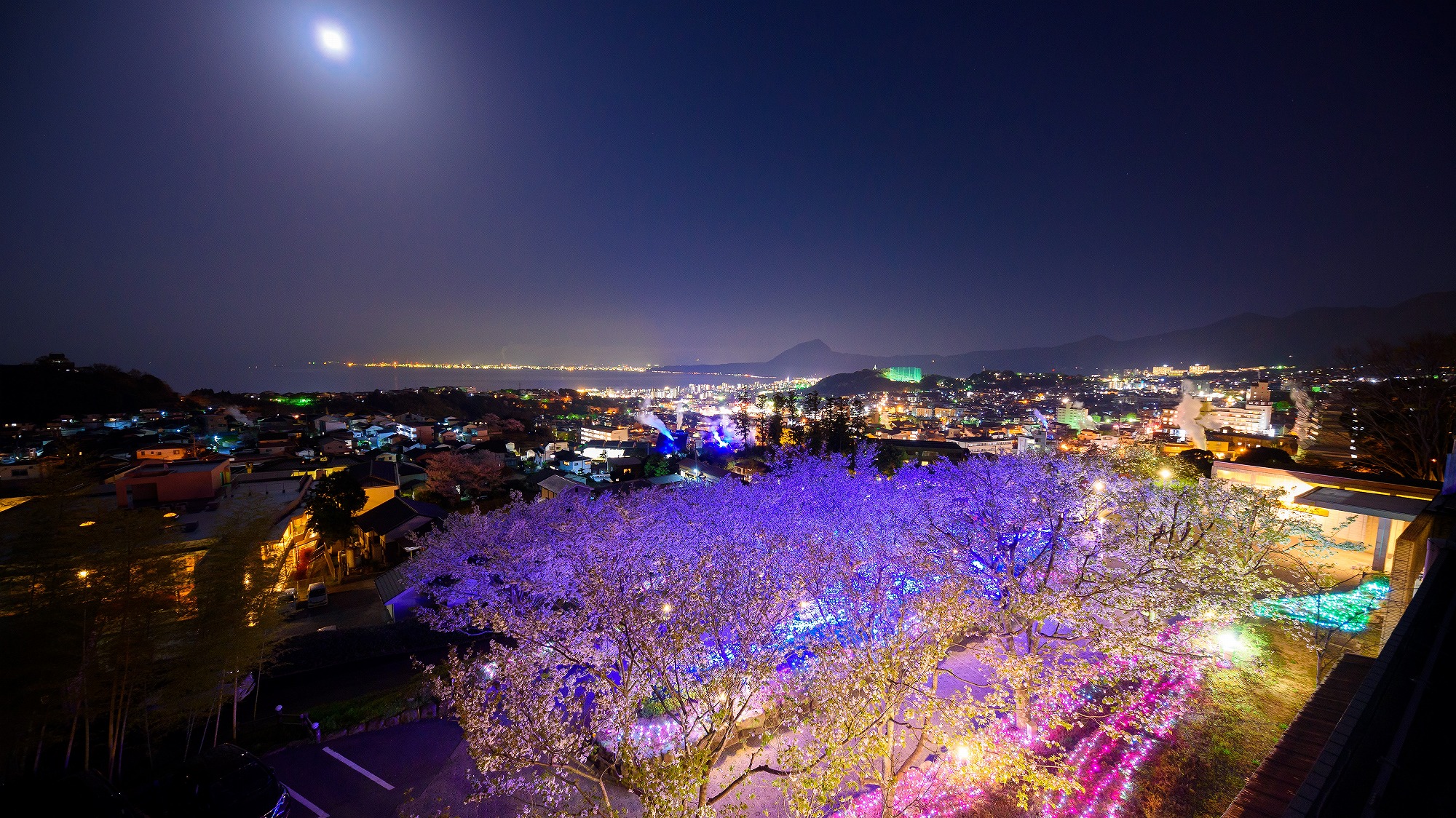 夜桜を楽しめるのは、ご宿泊のお客様だけです