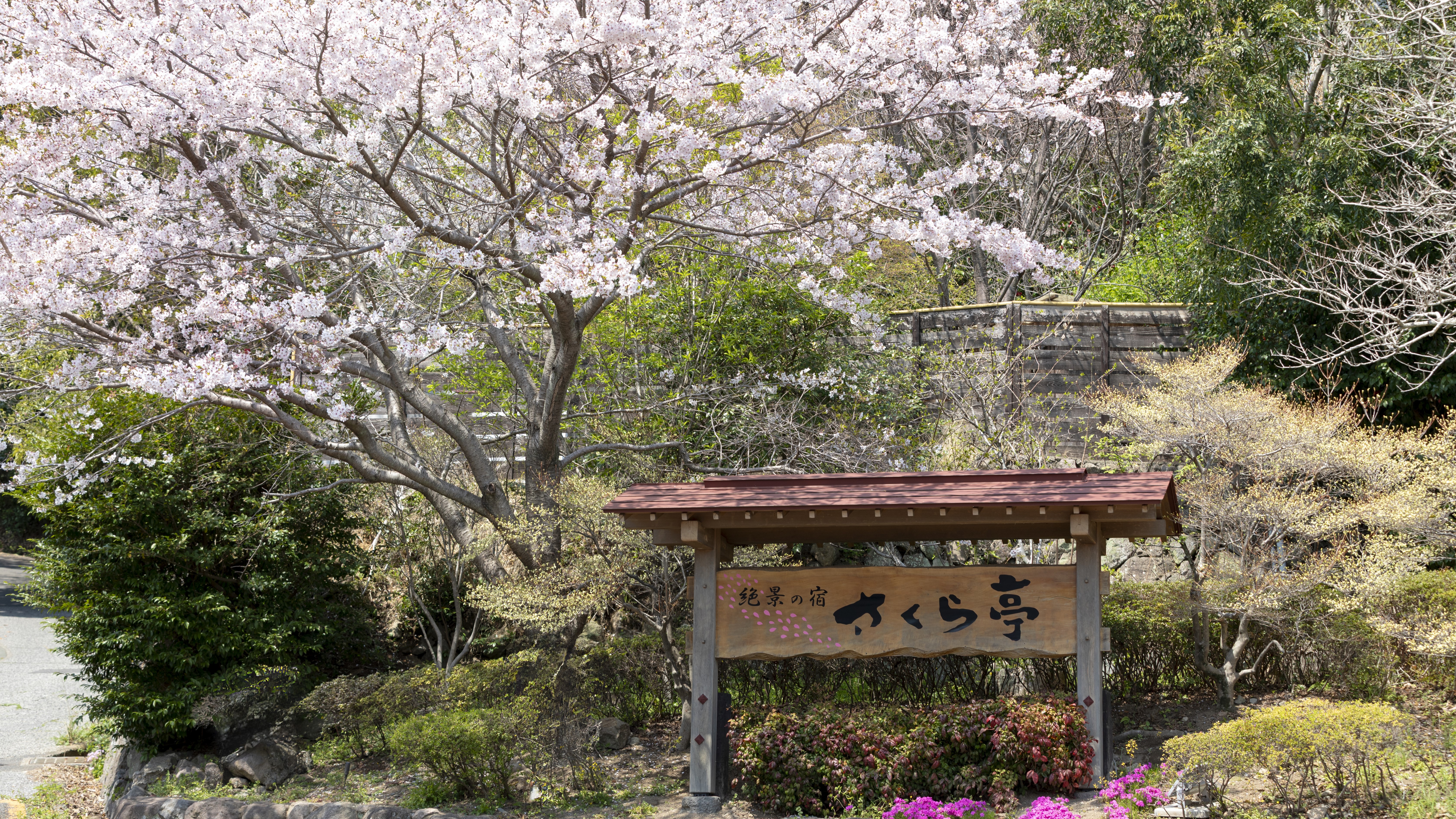 春には桜が咲き誇ります。