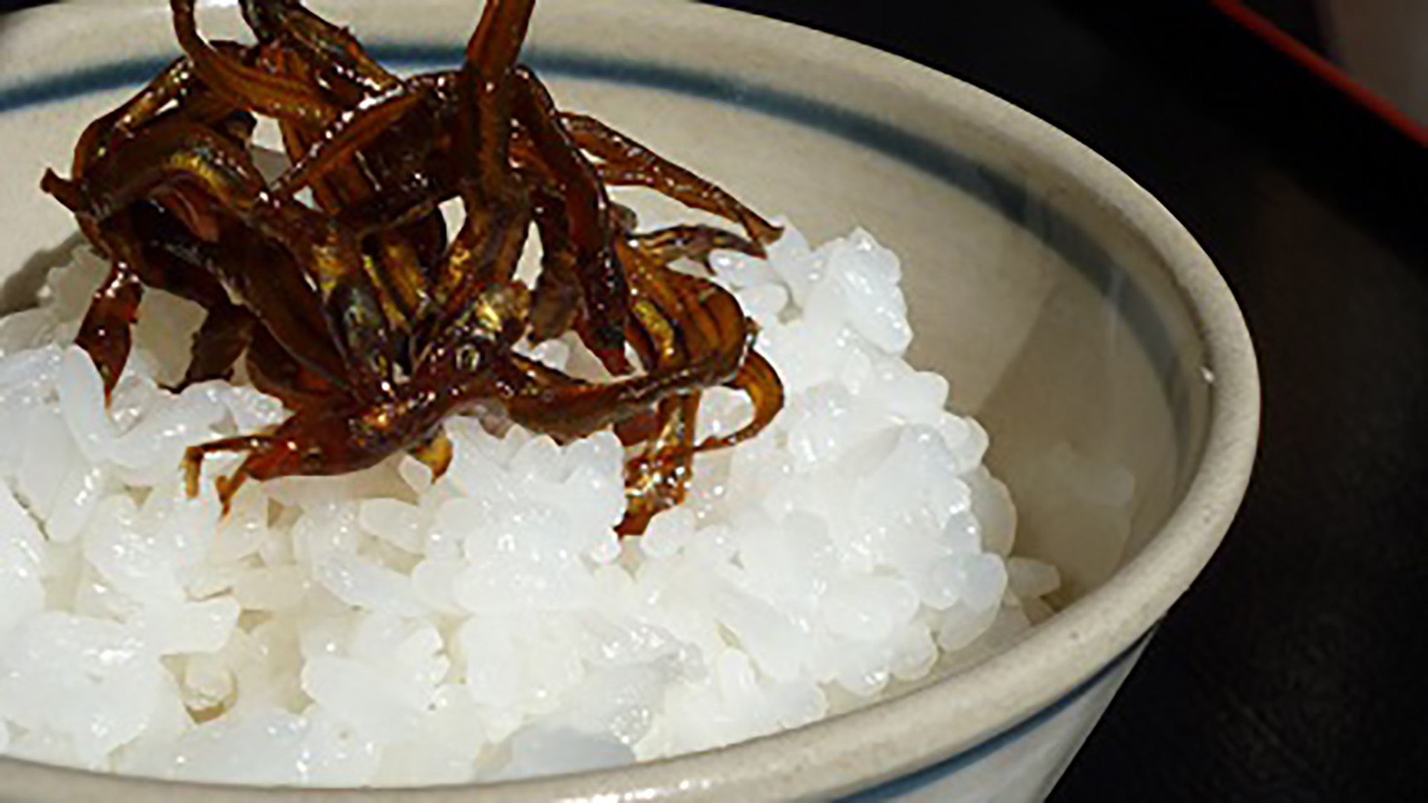 【１泊朝食付】時間を気にせずのんびりマイペース♪