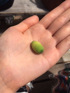 ◆１泊２食付7000円◆　☆宮城の旅籠・えびたけプラン　
