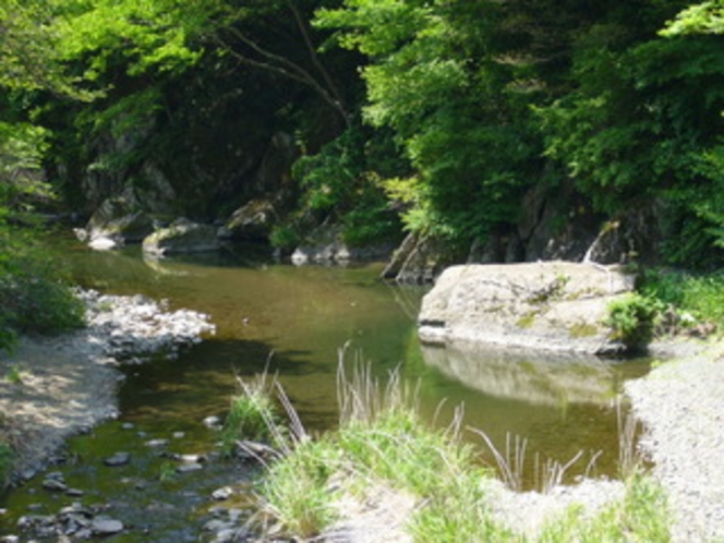  登米町の自然・宿から車で５分、北上川の支流　羽沢川。夏には魚釣り、水遊び、バ―べキュウが出来るよ。