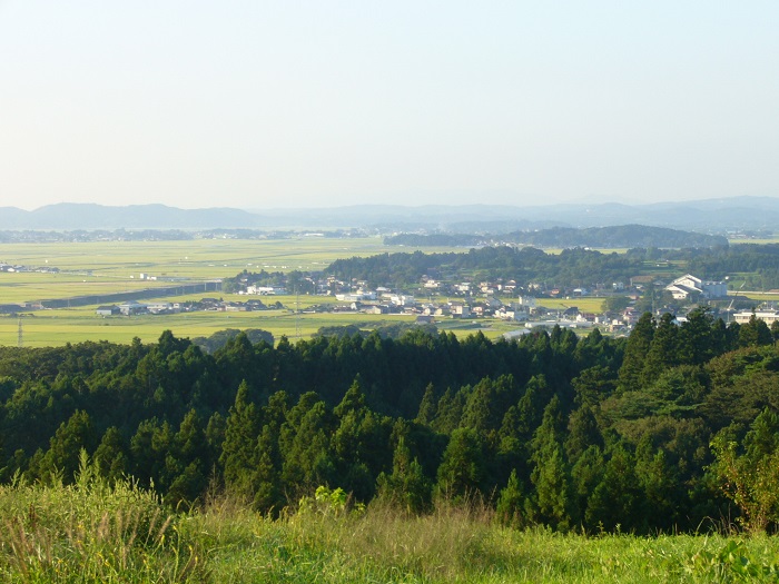 町民いこいの広場、草木山。