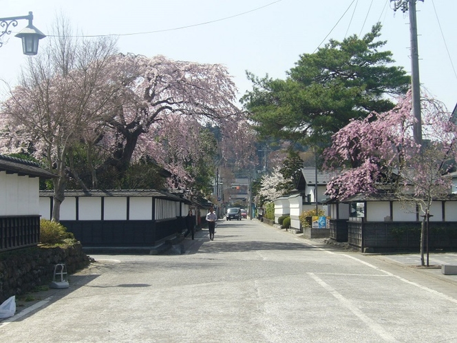 水沢県庁前に咲いた桜。