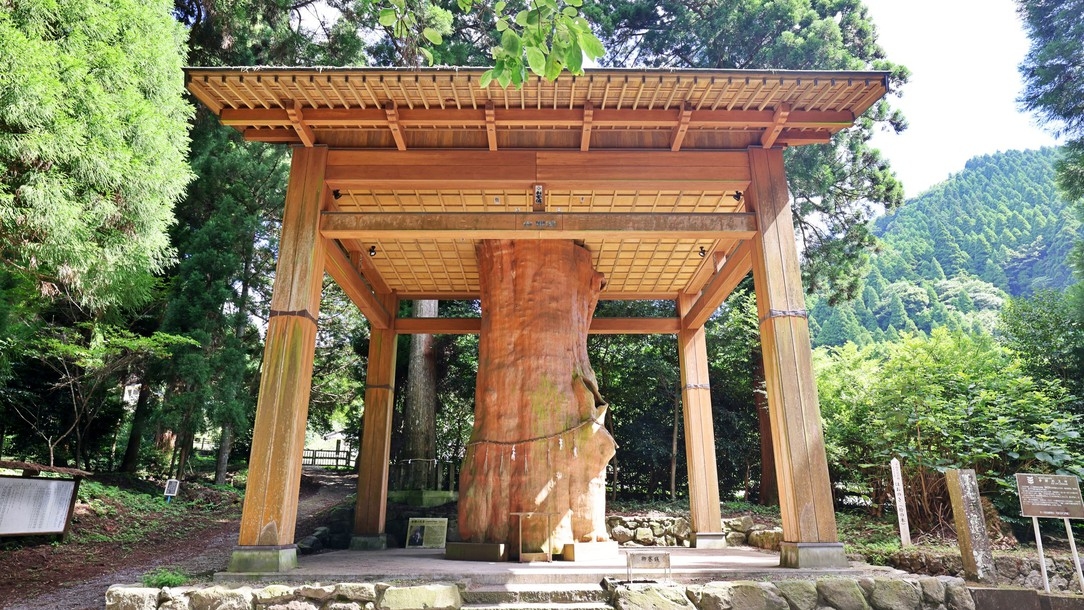 【ASOネイチャー・セレクション】秋の朝を彩る『阿蘇開運さんぽ』絶景バス送迎付きプラン〈２食付き〉