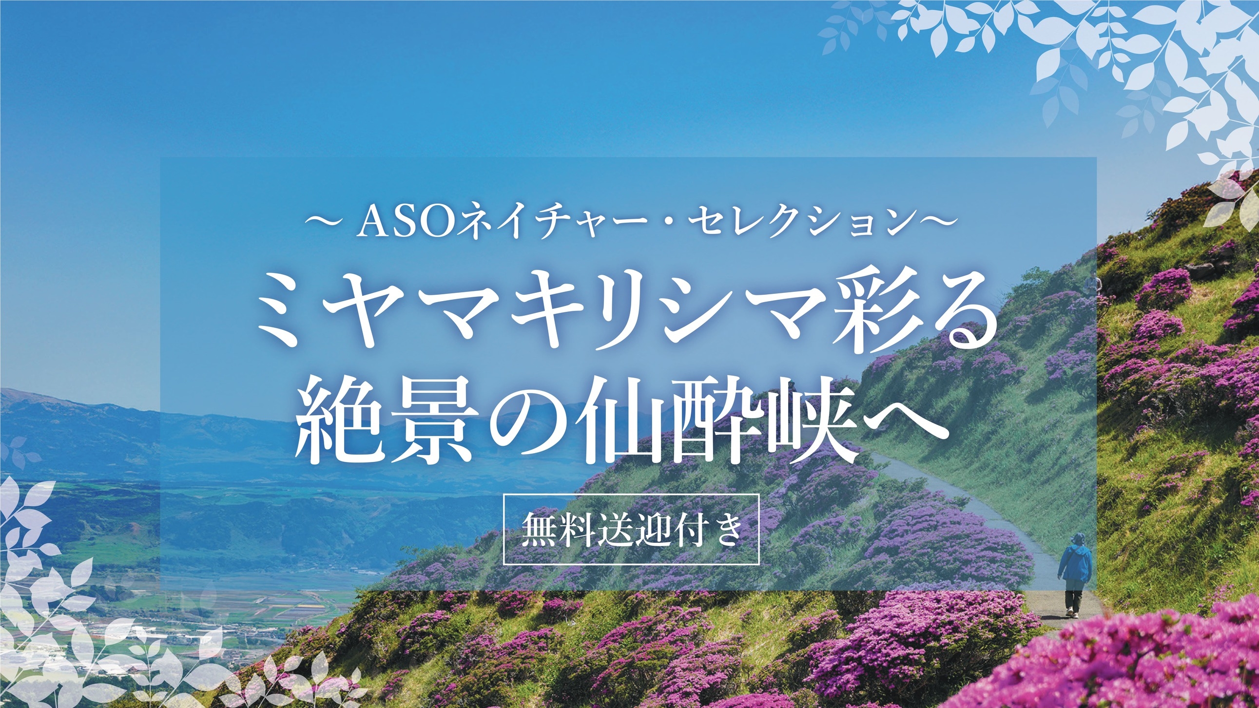 【ASOネイチャー・セレクション】仙酔峡ミヤマキリシマ・絶景送迎付きプラン〈ビュッフェ２食付き〉