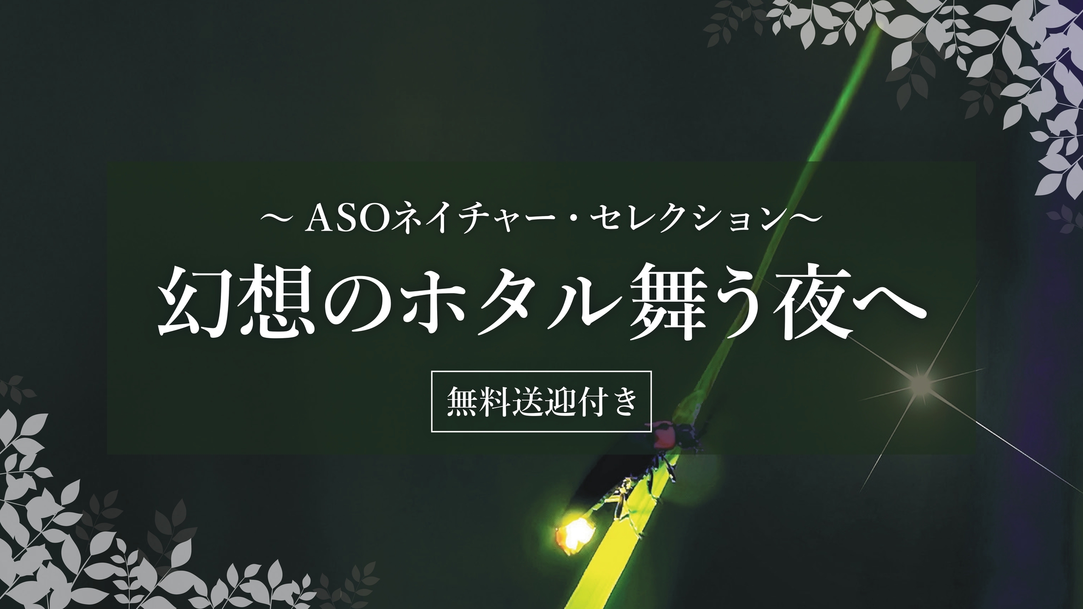 【ASOネイチャー・セレクション】幻想のホタル鑑賞送迎付きプラン[6/1〜6/20迄]２食付き