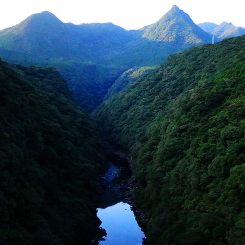 自然豊かな屋久島にはおすすめスポットがたくさんあります☆