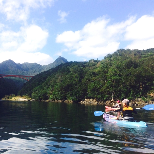 【カヌー体験】豊かな自然に囲まれた屋久島を満喫！ゆったりカヌーで海と川を楽しむ