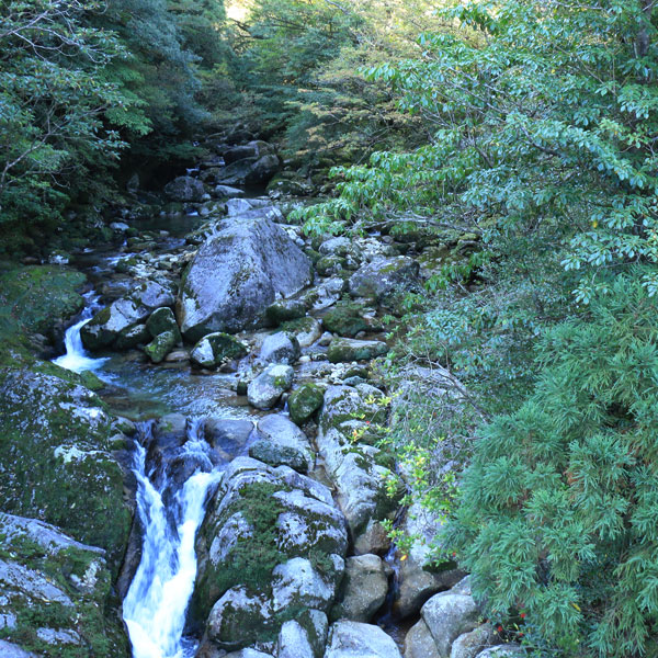 【白谷雲水峡】宮之浦岳をはじめ屋久島の奥岳が一望できます。