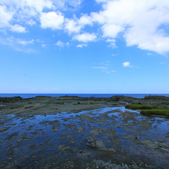 *千畳敷海岸/西海岸の景勝地の一つで、岩肌が海面に隆起した独特の光景が約12kmにわたって続いていま