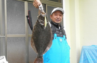 おかっぱりで釣れた魚