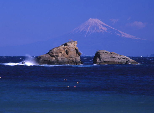 富士山世界遺産プラン♪