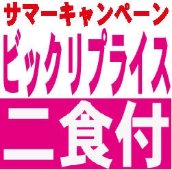 ☆☆サマーキャンペーン！！室数限定びっくりプライスプラン【２食付き】☆☆