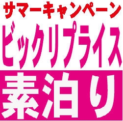 ☆☆サマーキャンペーン！！室数限定びっくりプライスプラン【素泊り】☆☆