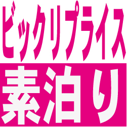 ☆☆【見付けた方はラッキー】今だからこの価格！！室数限定びっくりプライスプラン【素泊り】☆☆