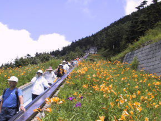 夏の横手山エスカレーター