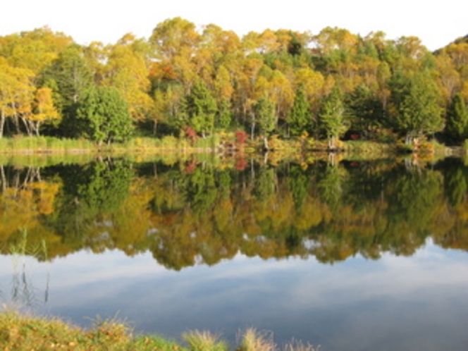 木戸池湖畔の紅葉