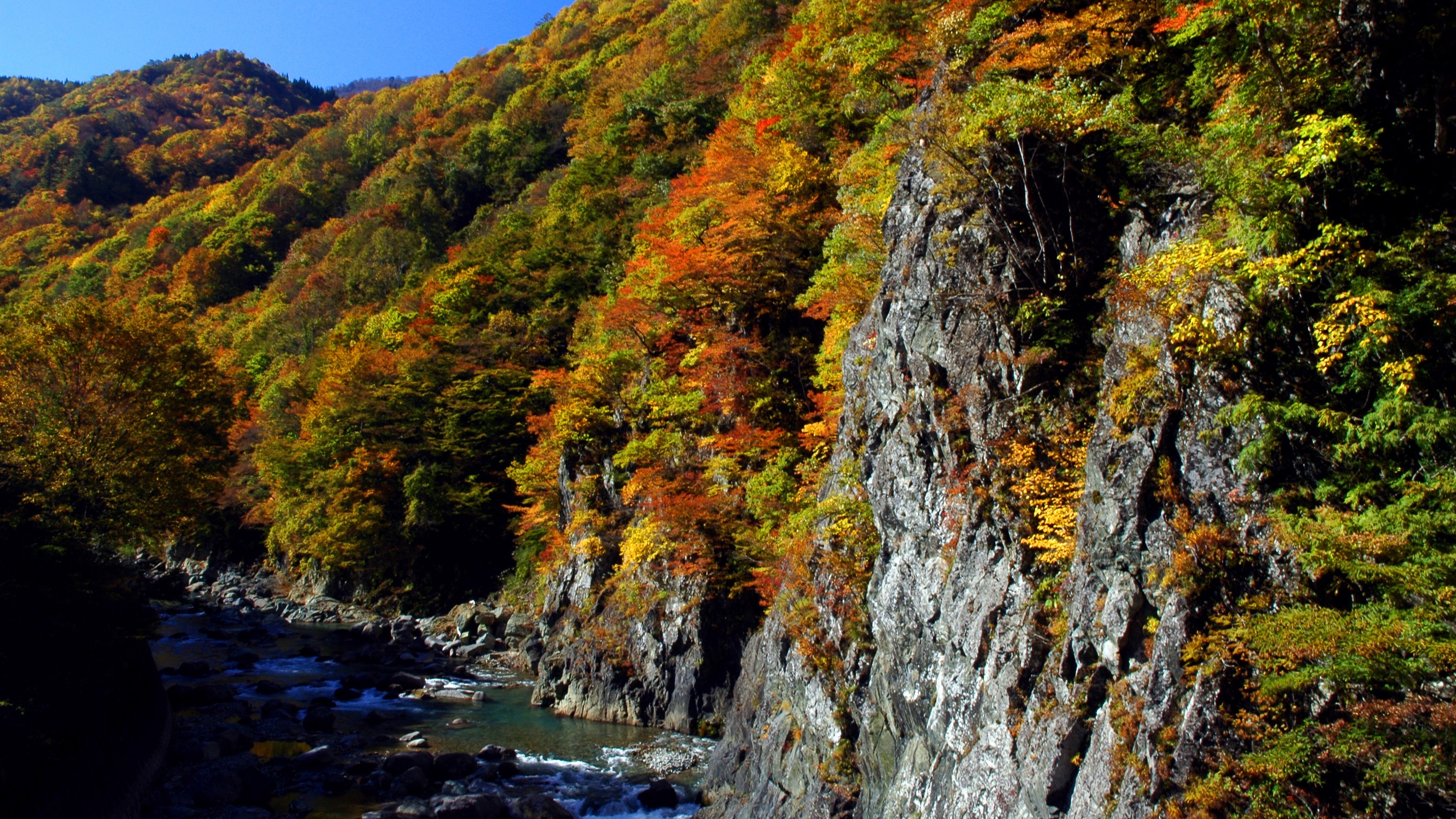 ◆秋山郷　紅葉