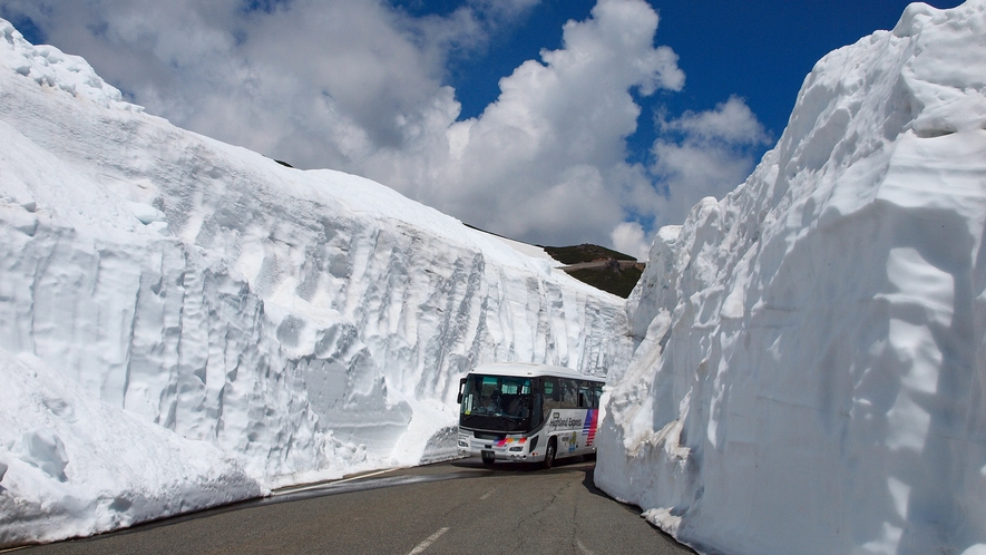 ・＜周辺＞除雪後の乗鞍エコーラインの「雪の壁」は見るものを圧倒します