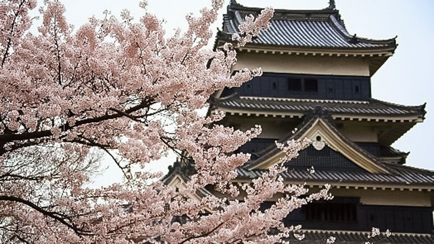 ・＜周辺＞桜の時期には満開の桜と松本城のコントラストがお楽しみいただけます