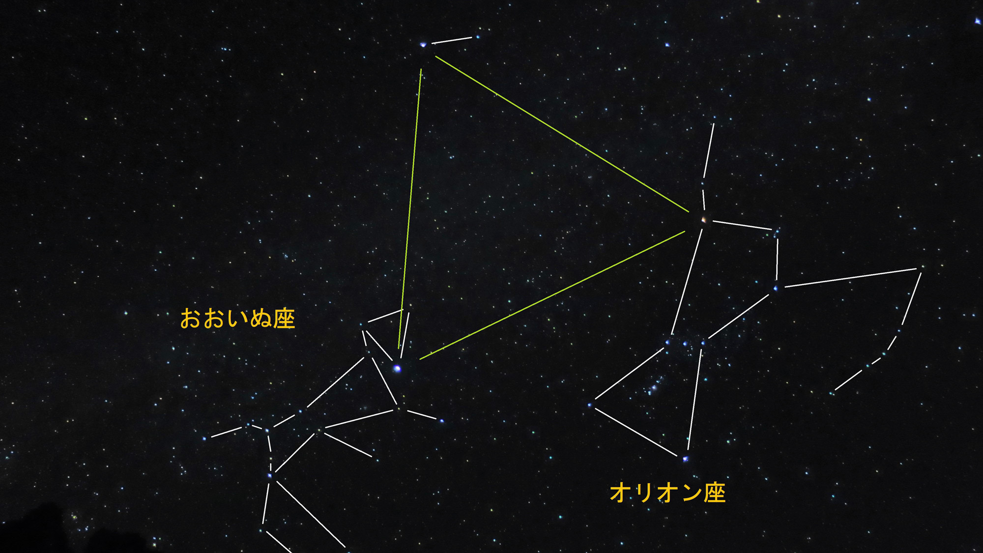 【星の紹介】天然のプラネタリウムをお楽しみ下さい