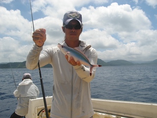 沖縄県魚　グルクン