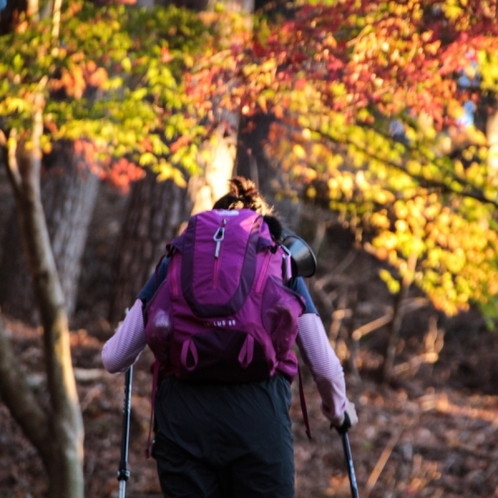 登山イメージ