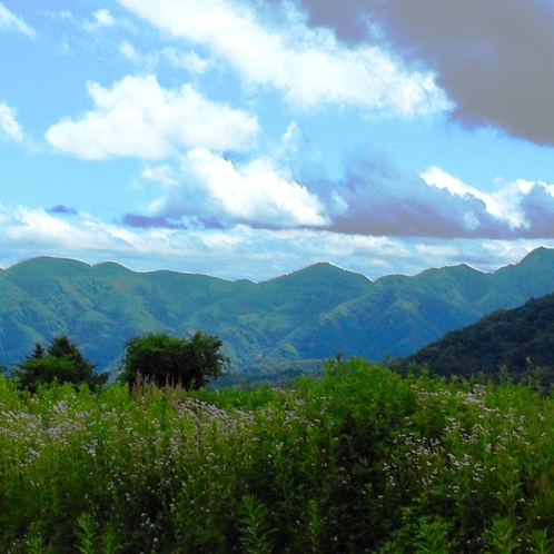 夏の戸隠