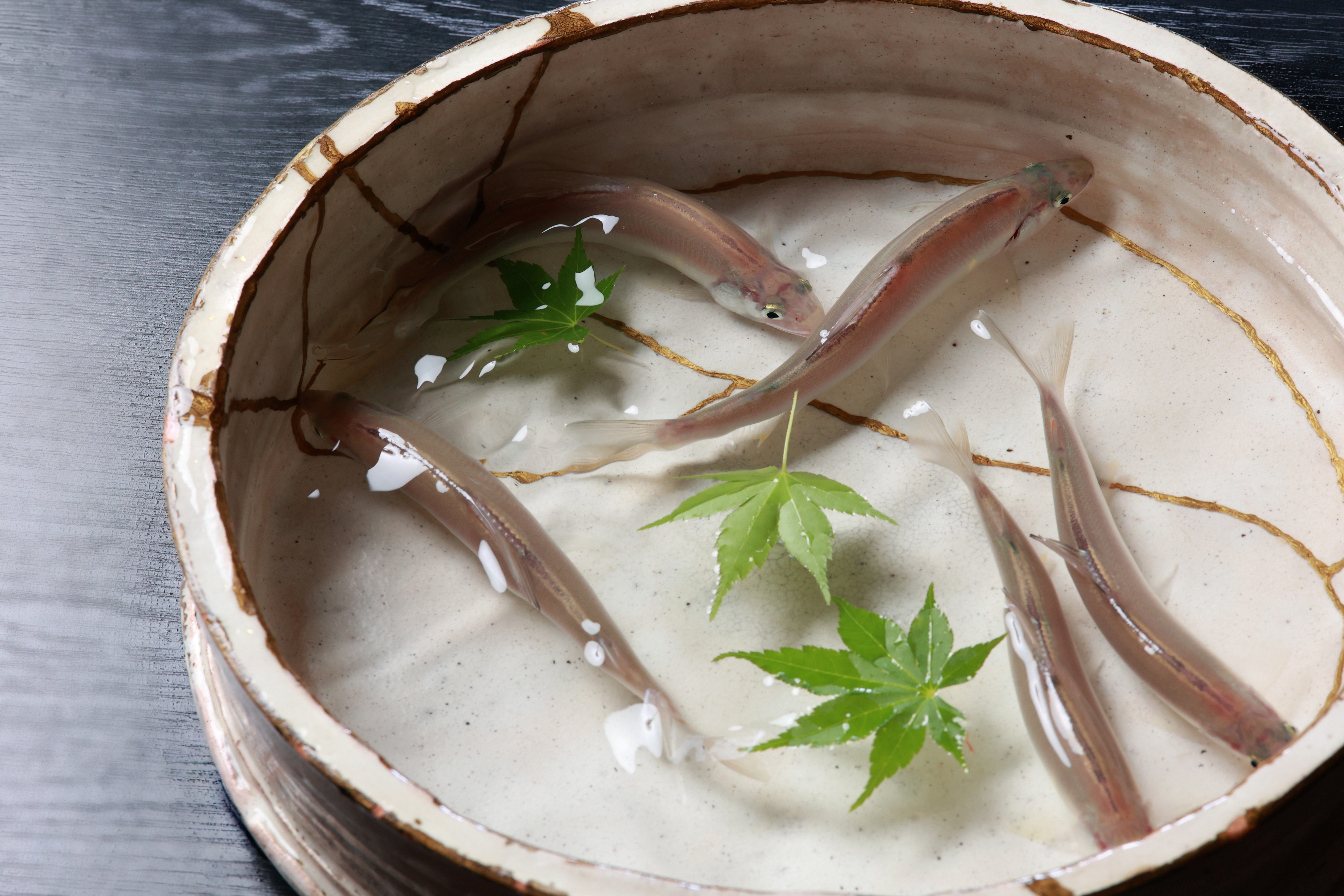 稚鮎　夏