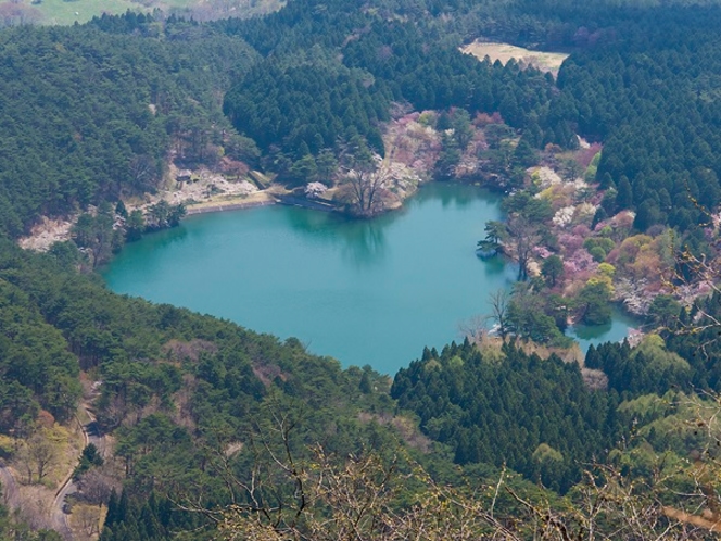 ハートレイク　半田沼