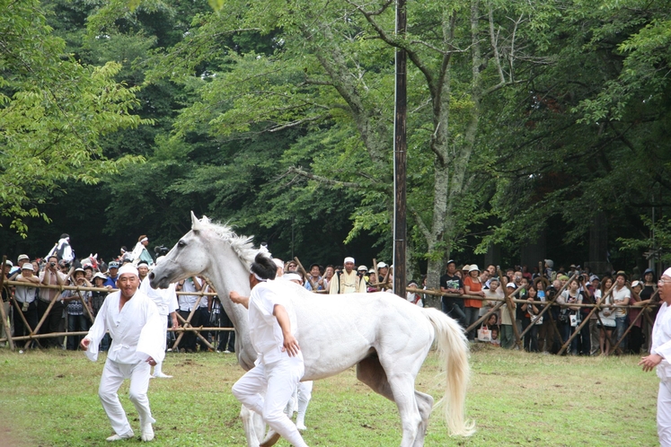 相馬野馬追