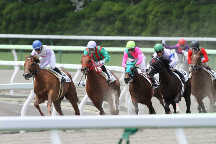 福島競馬