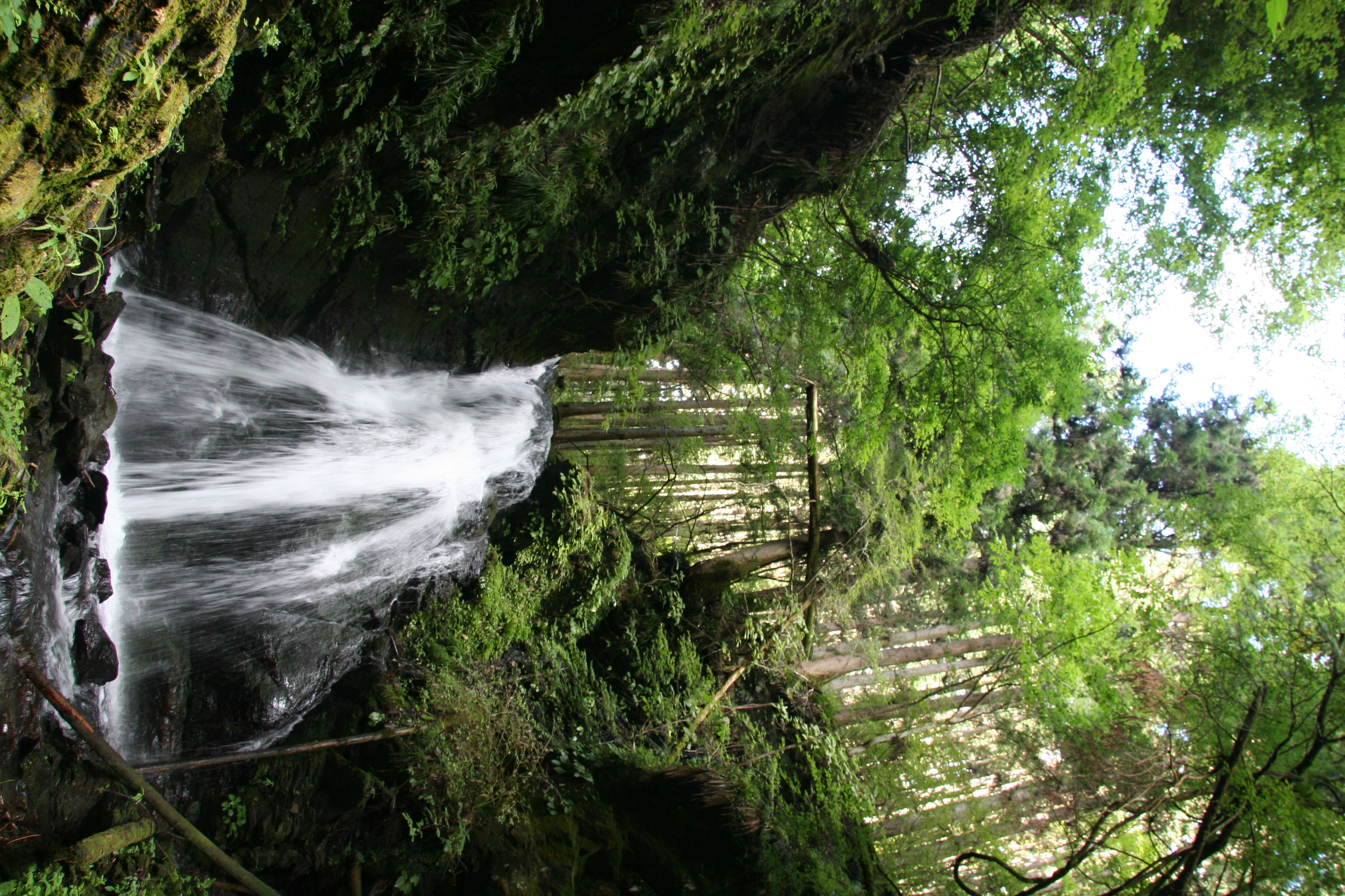 三頭山荘養殖場水源