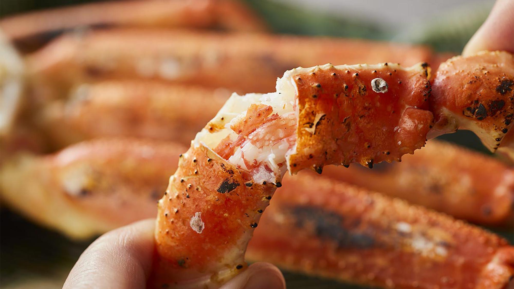 【特別会席】春（2026年3月～5月）