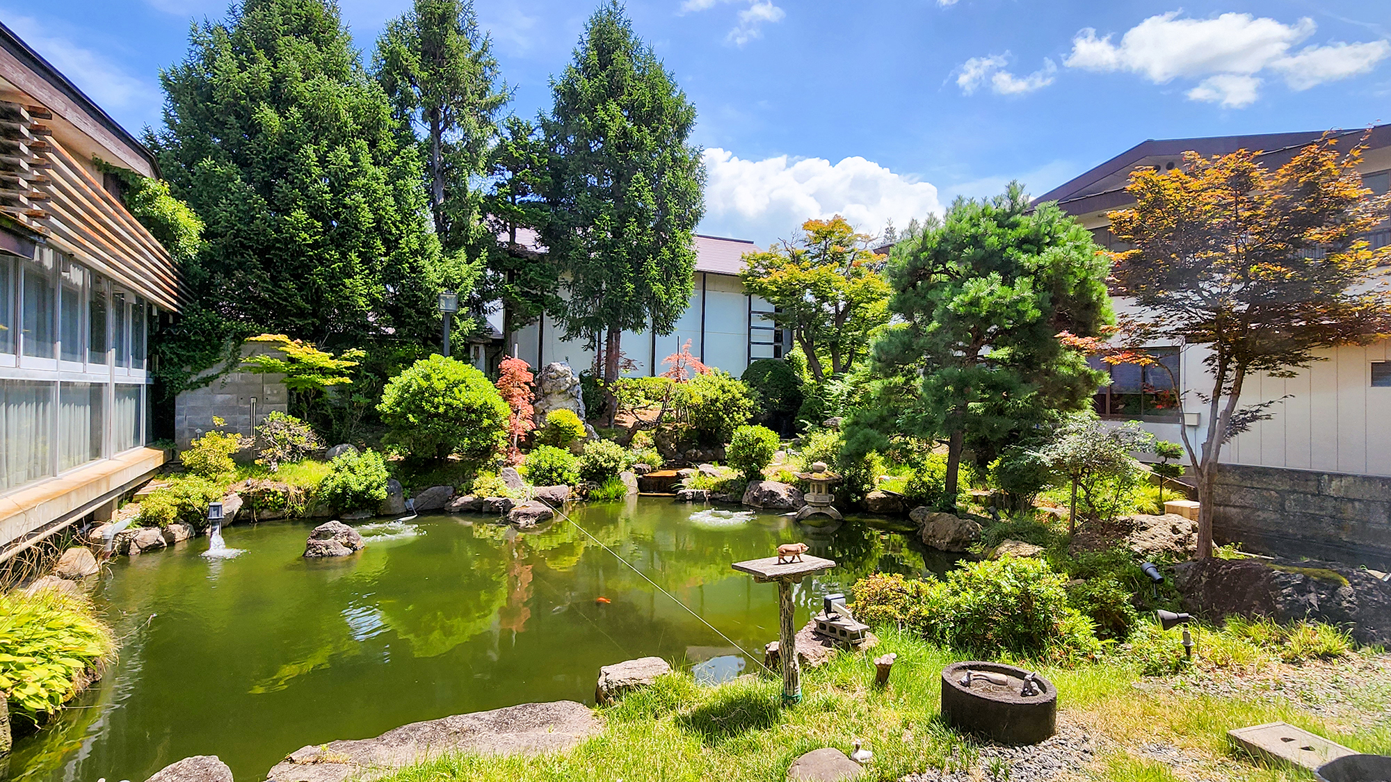 #【中庭】池には鯉が優雅に泳ぎ、季節とともに色鮮な景色をお楽しみいただけます
