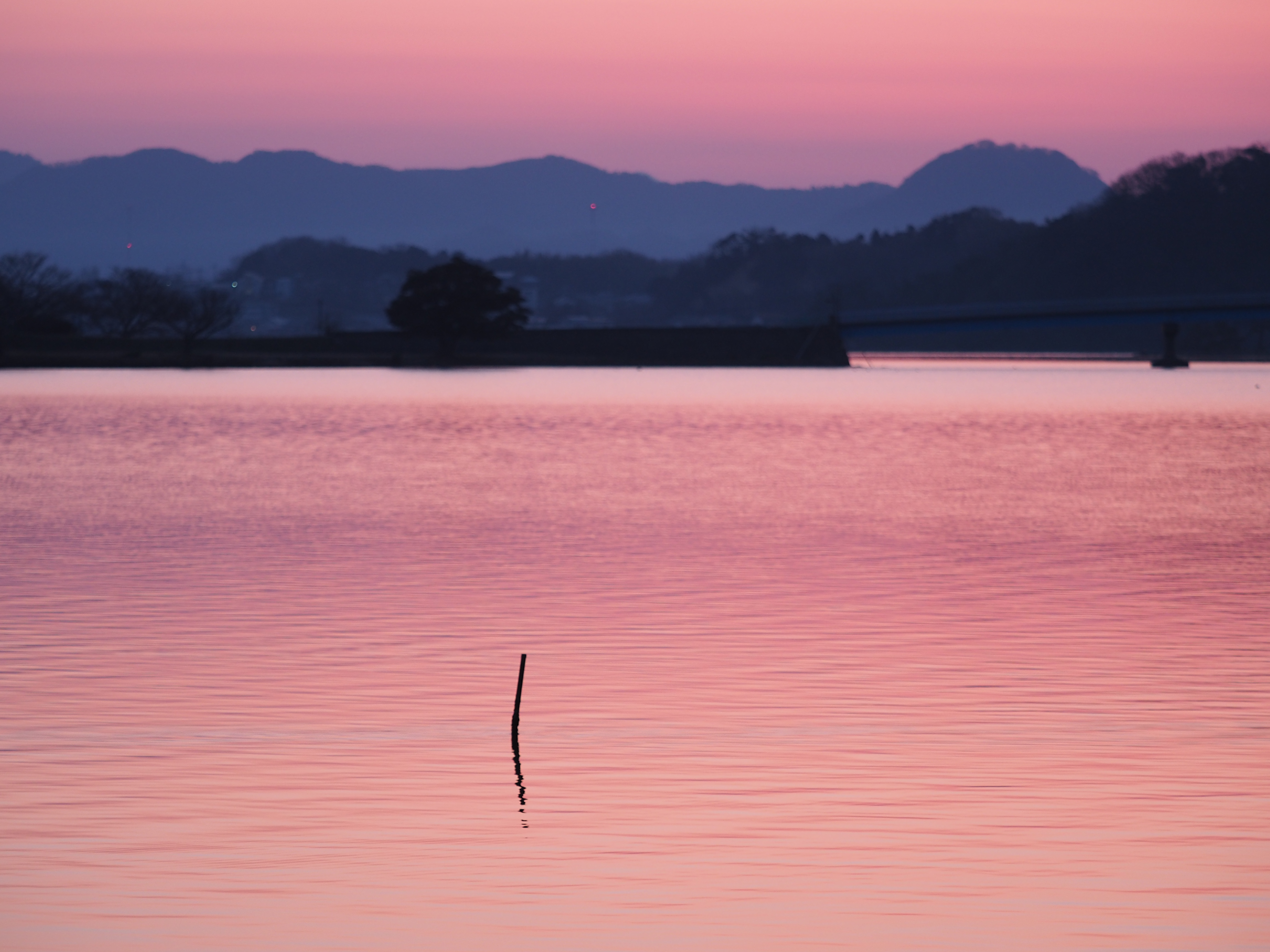 日本最大の池である湖山池はレジャーや写真スポットの名所として知られています！写真提供：鳥取県
