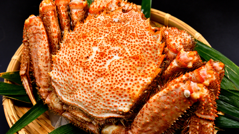 【三陸産毛ガニ】旅は贅沢に！カニ味噌付き三陸産の天然毛ガニ1杯と旬の新鮮魚介を堪能♪