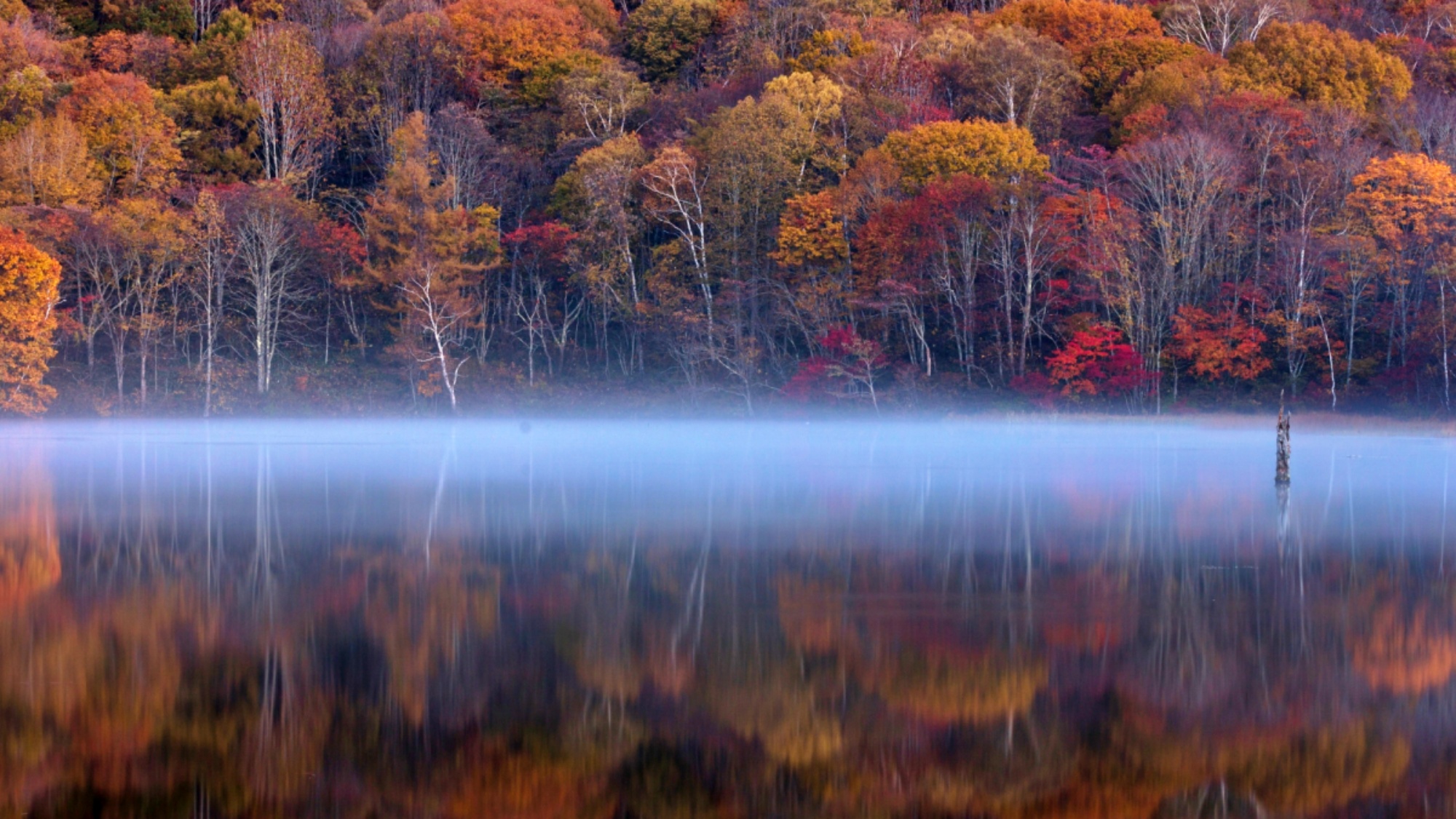紅葉映す、静かな鏡池。
